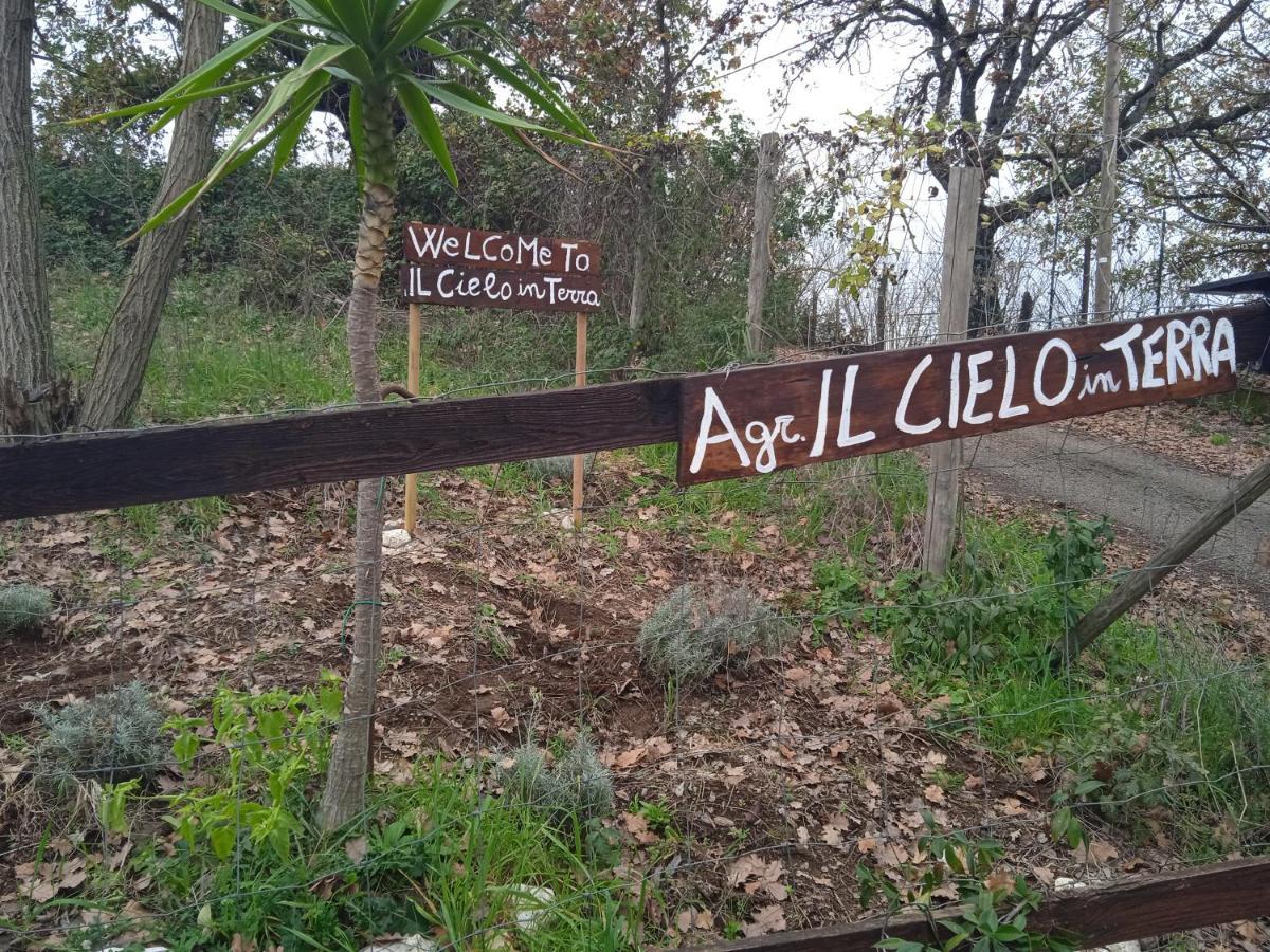 Agriturismo Il Cielo In Terra Sant'Oreste Kültér fotó