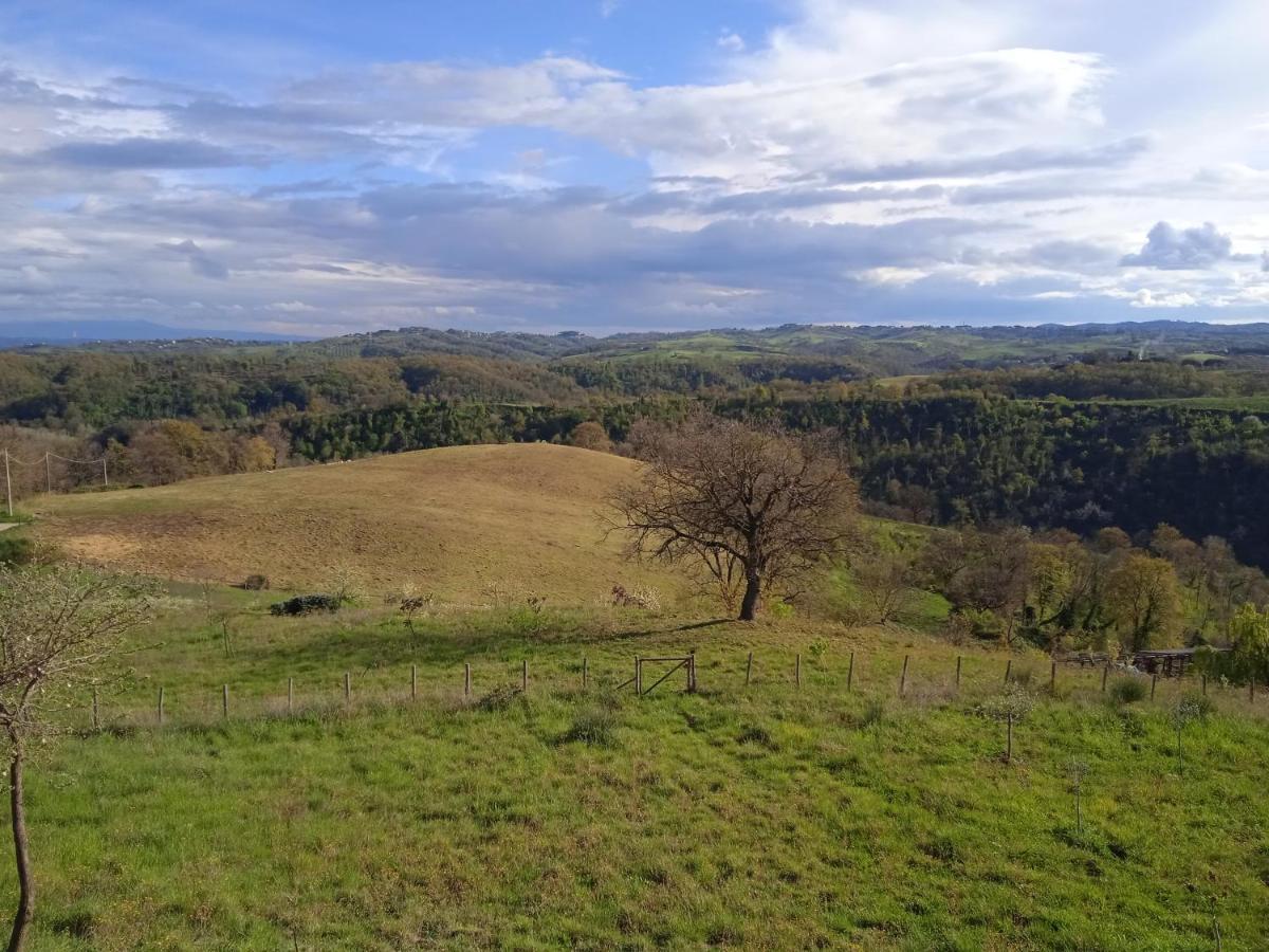Agriturismo Il Cielo In Terra Sant'Oreste Kültér fotó